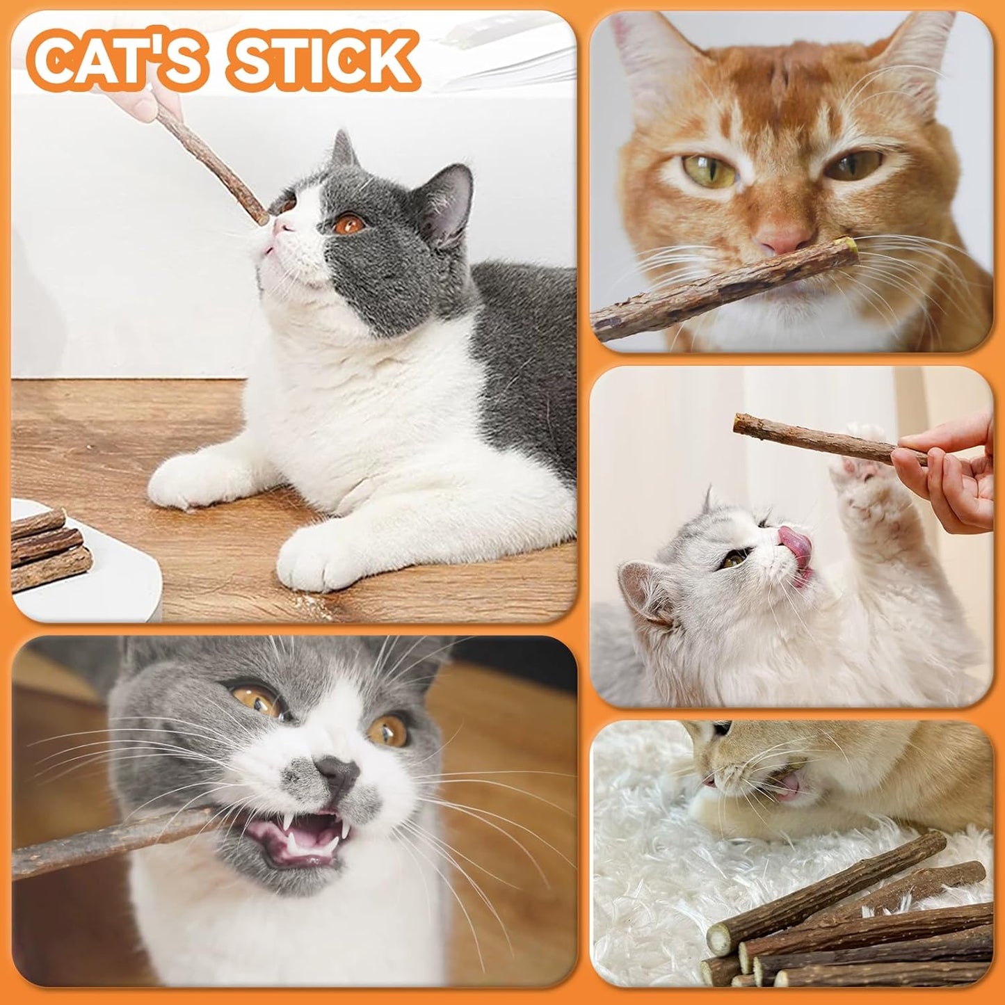 6Pcs Silvervine Sticks for Cats with Catnip Bag, Cat Chew Toys for Teeth Cleaning and Anxiety Relief, Natural Dental Care Kit for Indoor Cats & Kittens