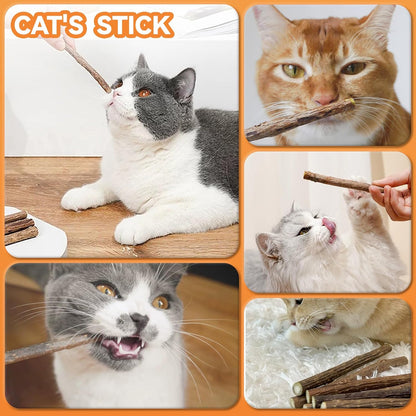 6Pcs Silvervine Sticks for Cats with Catnip Bag, Cat Chew Toys for Teeth Cleaning and Anxiety Relief, Natural Dental Care Kit for Indoor Cats & Kittens