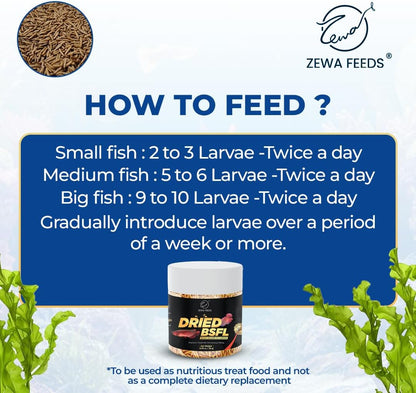 Dried Black Soldier Fly Larvae - 100% Natural Protein Rich Fish Food for Arowana, Flower Horn, Oscar, Redtail Shark (20 g/ 0.7 Oz/100 ml) (Pack of 2)