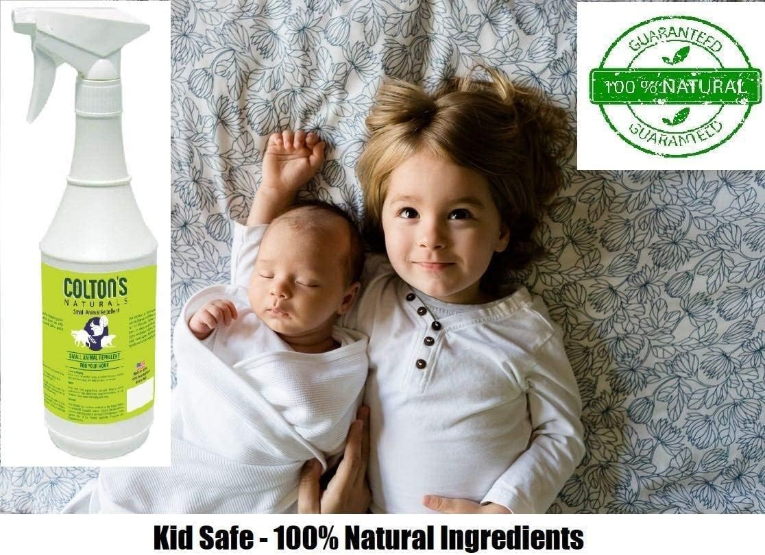 Cat Repellent Outdoor Spray Indoor (32 OZ) 100% Organic & Natural Yard Furniture Repellant