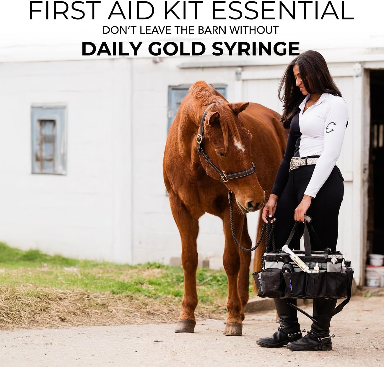 REDMOND Daily Gold Syringe Natural Healing Clay for Gastric Ulcers in Horses (Stress Relief Pre-Race Paste) (Single Pack)