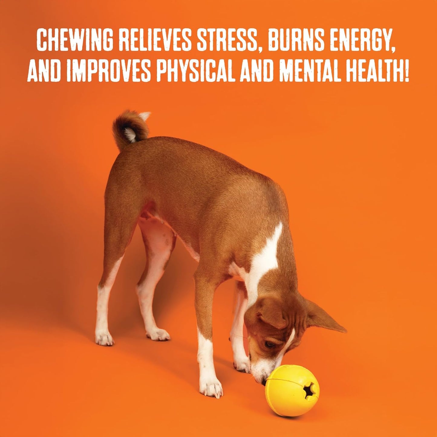 BULLYMAKE Orange Toss N' Treat Pie Toy for Dogs, Durable Rubber Dog Toys for Aggressive Chewers, Dental Stimulating, Treat Dispensing, Boredom Busting, Pet Supplies, Made in USA