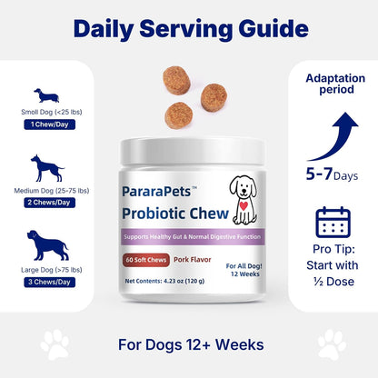 Probiotics for Dogs,Dog Gut Health Probiotics,Gastrointestinal Health Promotes Digestion and Nutrient Absorption, 60 Soft Chews