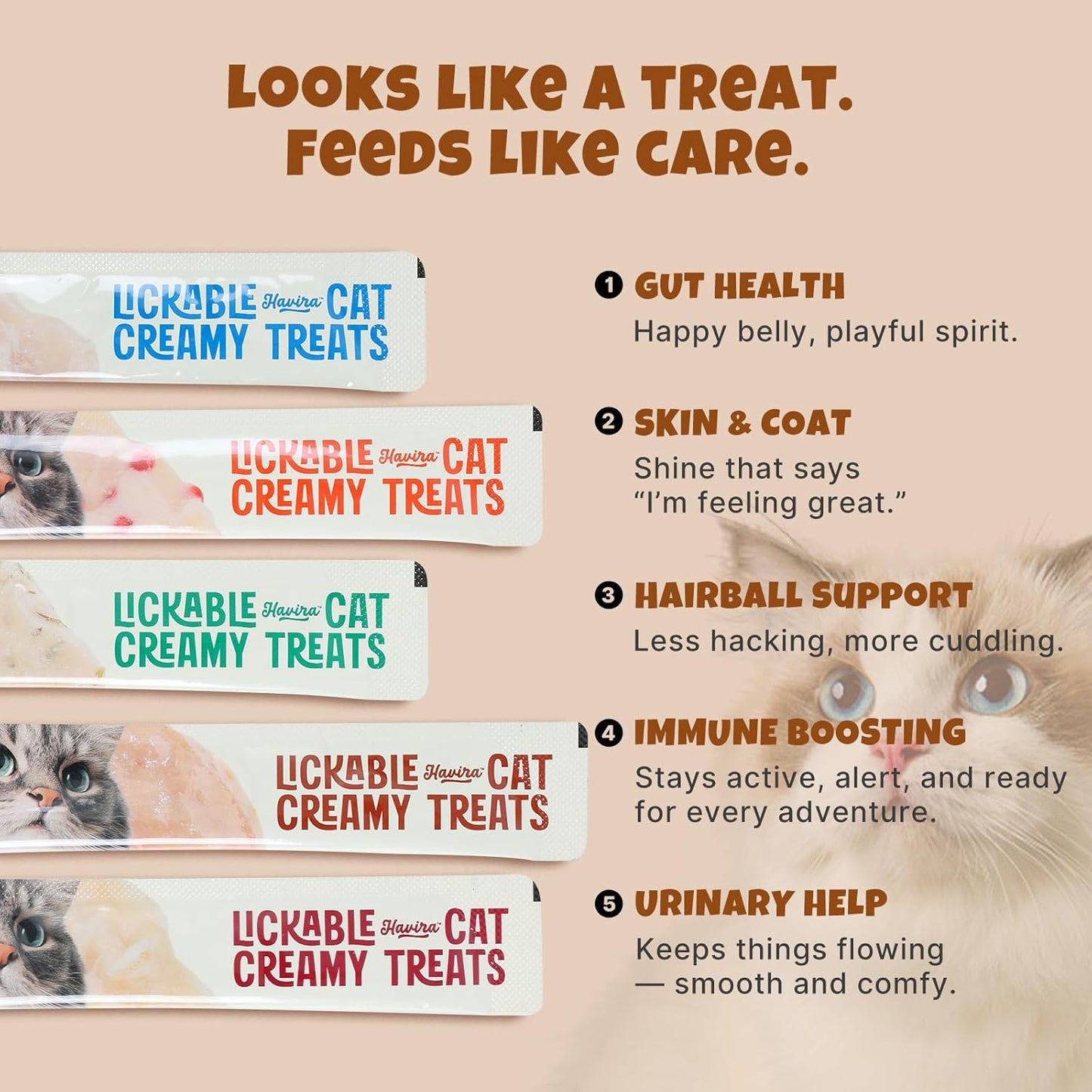 Havira Healthy Lickable Cat Treats Skin & Coat – Salmon Flavor Squeeze Treats with Omega-3 & Real Fish Roe, Creamy Functional Snacks for Soft Fur & Natural Shine, Grain Free