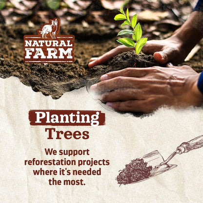 Natural Farm Odor-Free Bully Sticks (6 Inch, 25 count),1.3 lb. Bag, Fully Digestible 100% Beef Pizzle Chews,Grass-Fed, Non-GMO,Grain-Free, Natural Long-Lasting Chews for Small & Large Dogs. Pack of 25