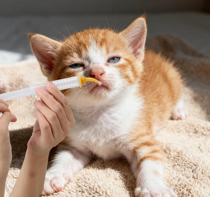 1pcs Kitten Bottle Feeding Kit,Kitten Supplies with 50ml Nursing Bottle, 3、5、10ml Feeding Syringe & Soft Nipples for Kittens, Pet Owners & Rescuers Caring for Orphaned