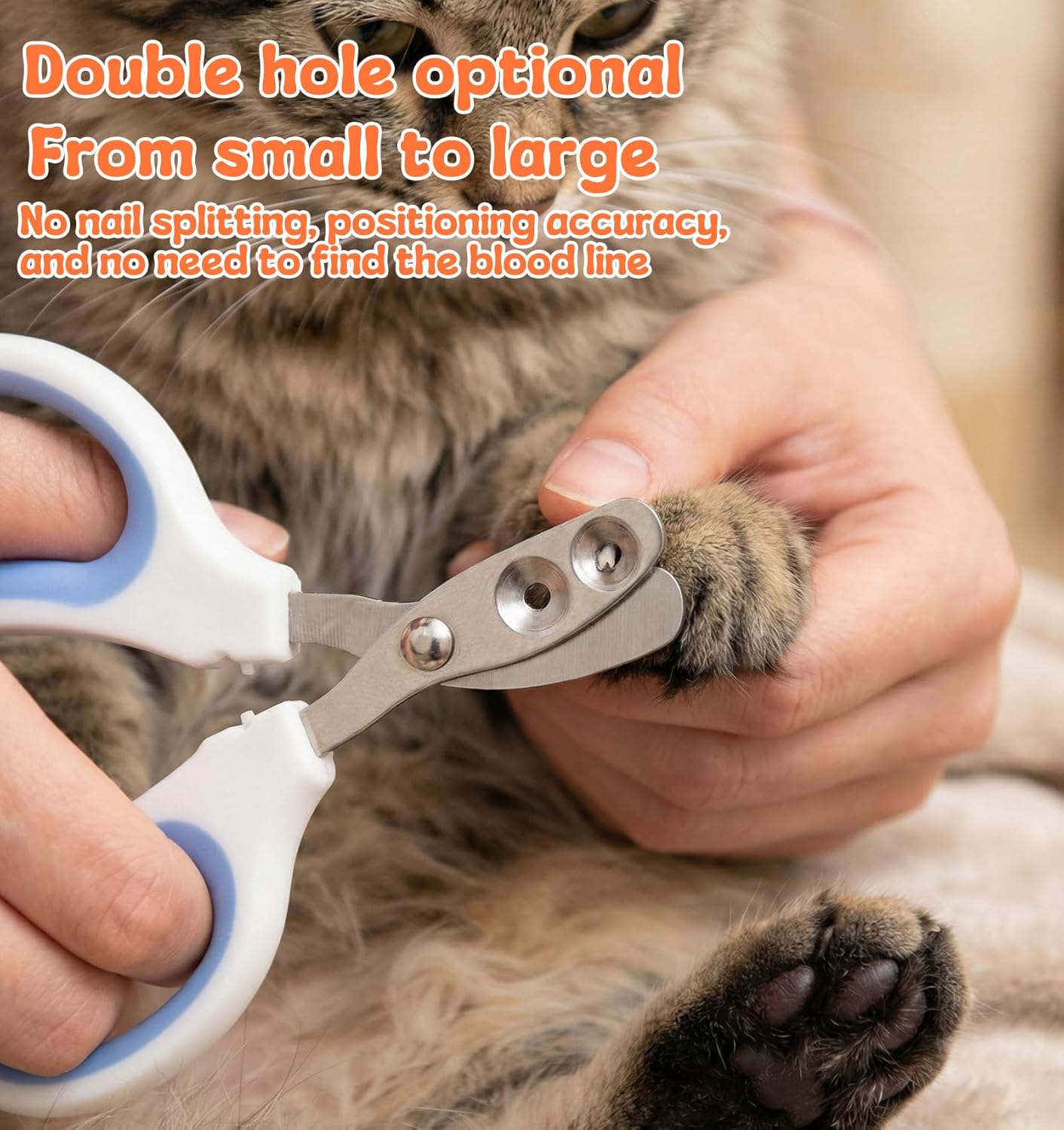2Pcs Pet Nail Clippers, 2Pcs Kitten Nail Clipper with Guard for Cats Dogs Small Animal Claws Trimmer Ideal for Bearded Dragon Cats Rabbit, Non-slip Handle & Stainless Steel Blades, Safe & Easy to Use