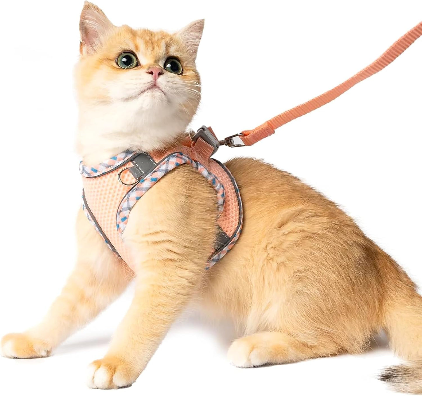 Cat Harness and Leash Set - Breathable Mesh Vest with Reflective Strips, Escape-Proof Harness with No-Choke Design Secure Lock Buckles for Kittens or Puppies, XXS Pink(Fits 1-4 lbs Kittens)