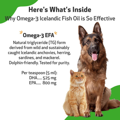 Pet Wellbeing Omega-3 Icelandic Fish Oil for Dogs - Wild-Caught, Cold-Water Fish, Healthy Skin and Coat, Joint Health and Mobility, Fatty Acids, Anchovies, Sardines - EPA, DHA - 8 fl oz (236 ml)