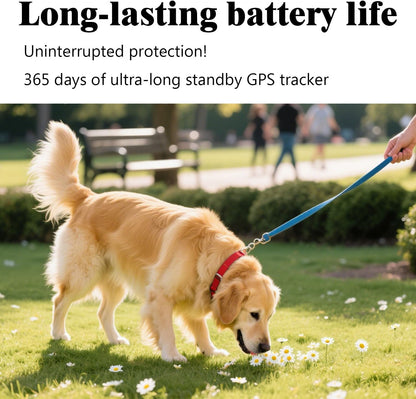 GPS Tracker for Dogs & Cats, No Subscription & No SIM Card, 365-Day Extra Long Battery Life, Real-Time Alerts & Historical Routes, Mini Waterproof Drop-Proof Pet Locator, Compatible with Android & iOS