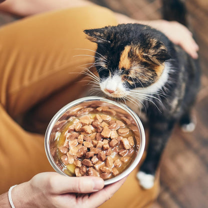 4 Pcs Stainless Steel Cat Bowls, Metal Cat Food Bowls for Indoor Cats, 6.1 Inch Shallow Wide Suitable for Kittens Whisker Fatigue Reducing, Elevates Food for Better, Replacement Basic Cats Plates