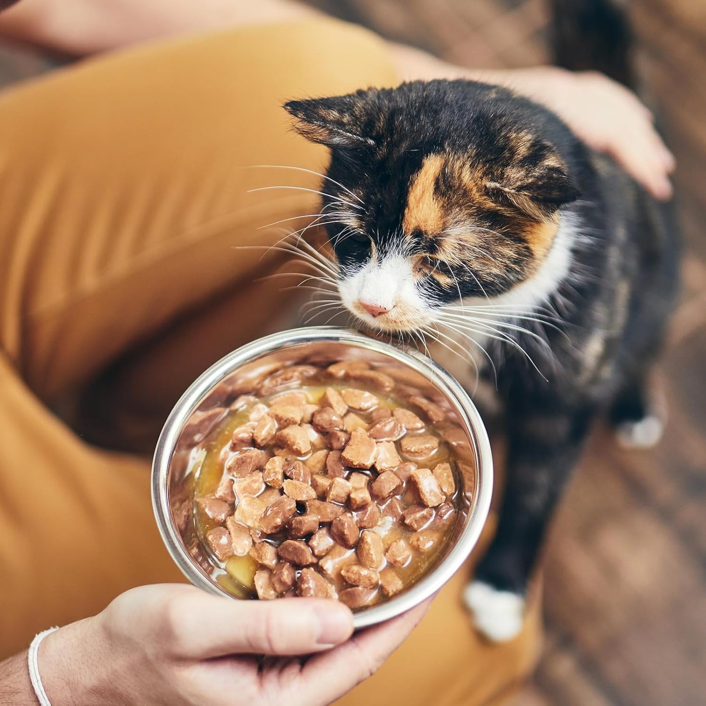 4 Pcs Stainless Steel Cat Bowls, Metal Cat Food Bowls for Indoor Cats, 6.1 Inch Shallow Wide Suitable for Kittens Whisker Fatigue Reducing, Elevates Food for Better, Replacement Basic Cats Plates