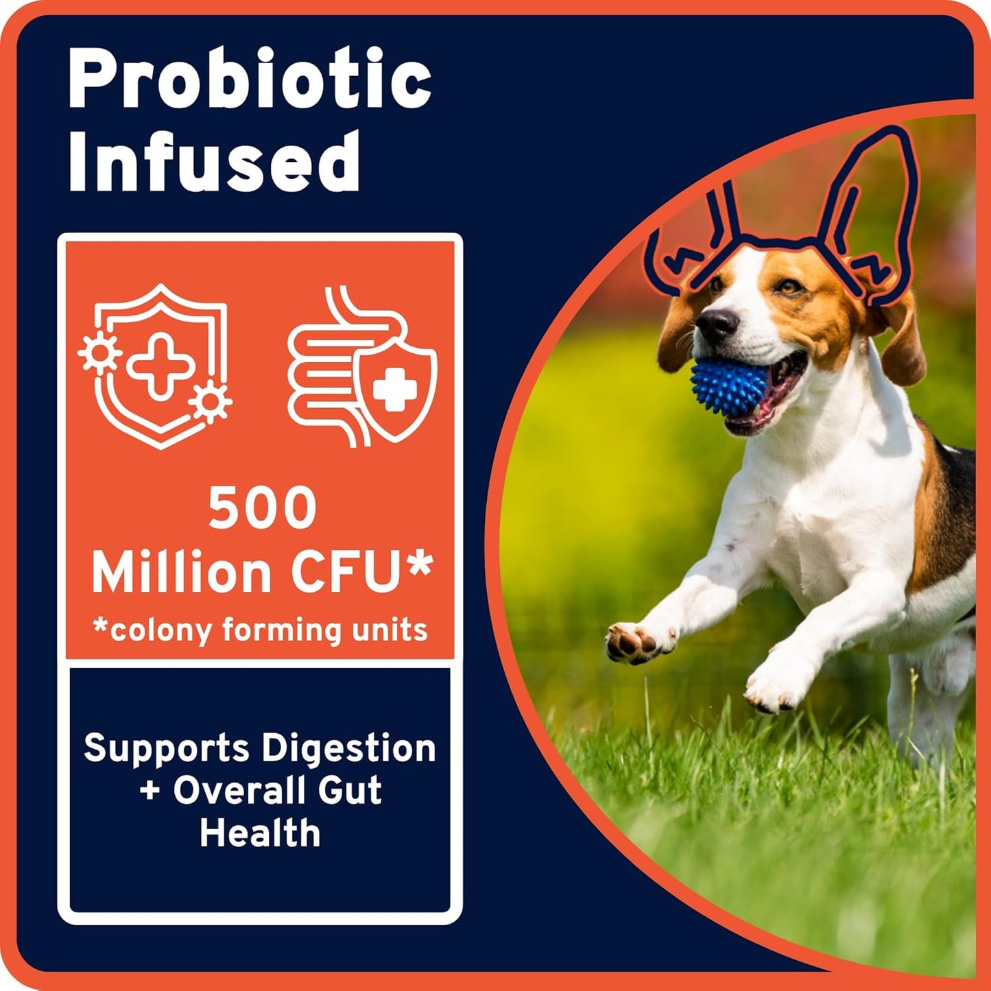 Ultra Easy Pill-Dough Treat Paste Wrap with Probiotics - Forms a Custom Pocket to Hide Pet Medications - Pro Line (6 Pack, Cheese)