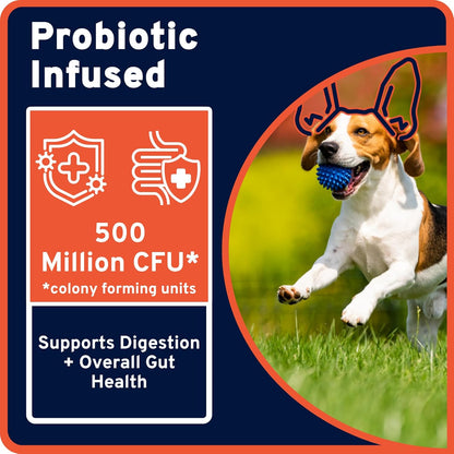 Ultra Easy Pill-Dough Treat Paste Wrap with Probiotics - Forms a Custom Pocket to Hide Pet Medications - Pro Line (6 Pack, Cheese)