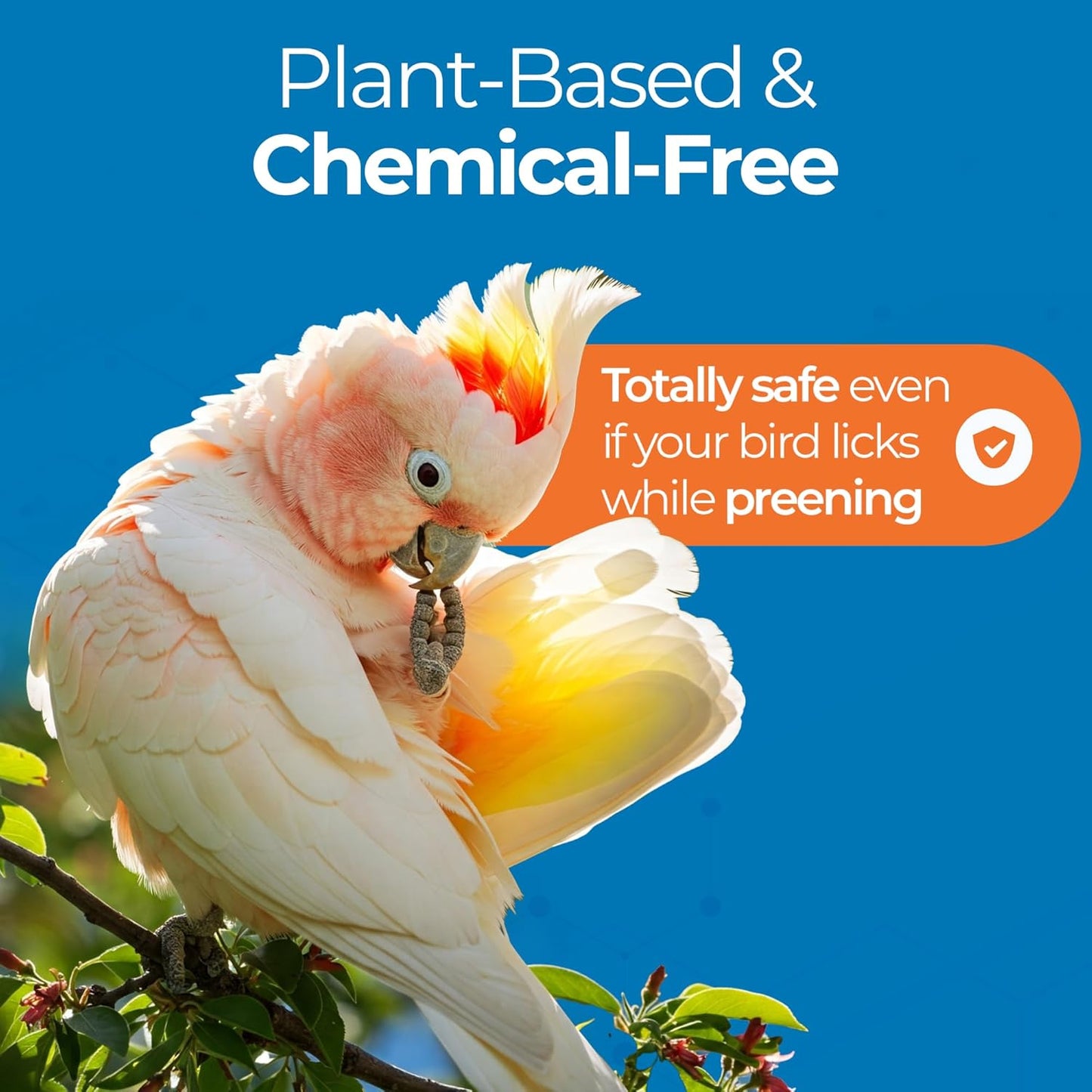 Aloe Vera Bird Spray for All Birds – Soothes Itchy Skin & Feather Plucking – 8oz Odor-Free Mist, Safe if Ingested, Daily Use Bird Mist, Softens Feathers, Natural Formula – Made in USA by UnRuffledRx™