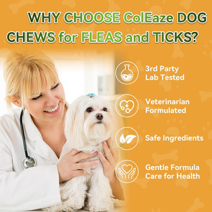 Probiotics for Dogs - Dog Probiotics Chews - Digestive Health Chews with Prebiotics & Enzymes, Gut Health Support, Yeast Balance & Gas Relief - 200 Soft Treats with Pumpkin