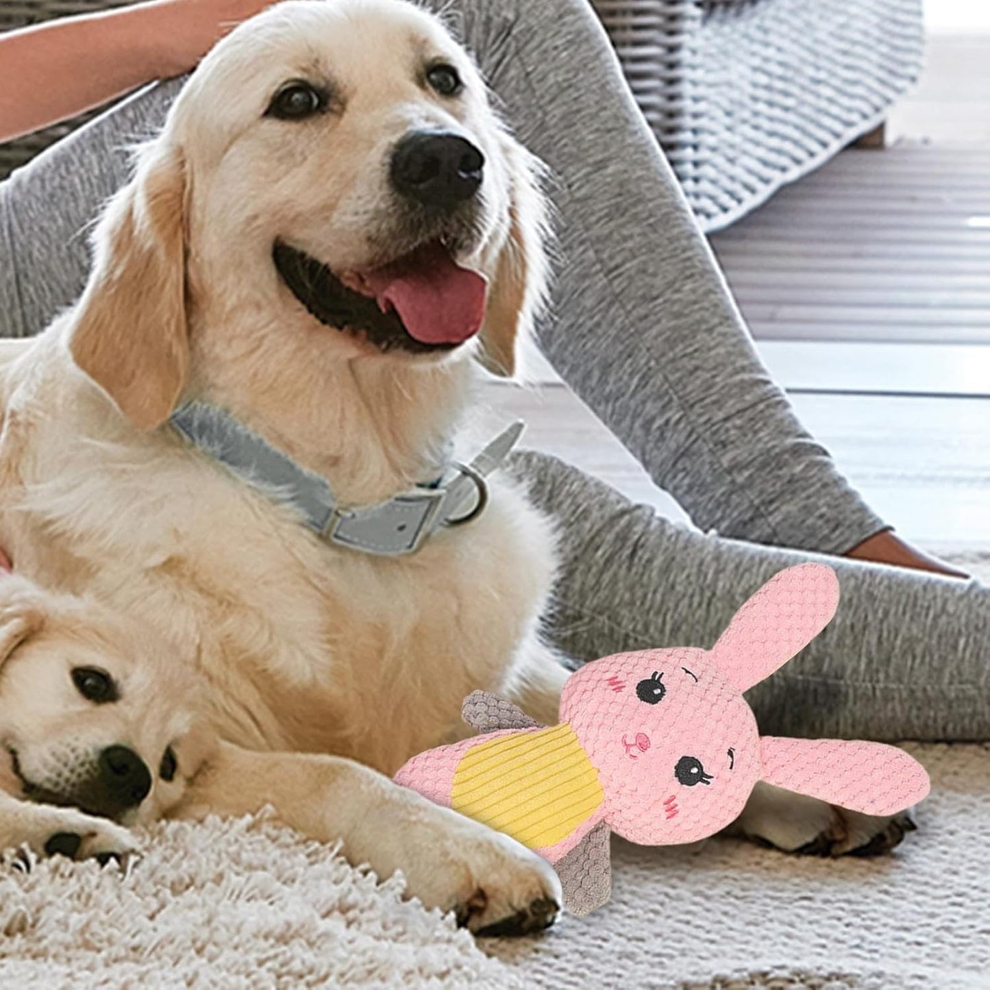 Indoor Dog Plush Chew Toys,Stuffed Chew Toy for Dogs,Animal Chew Toys,Plush Squeaky Toys,Cute Interactive Toys s