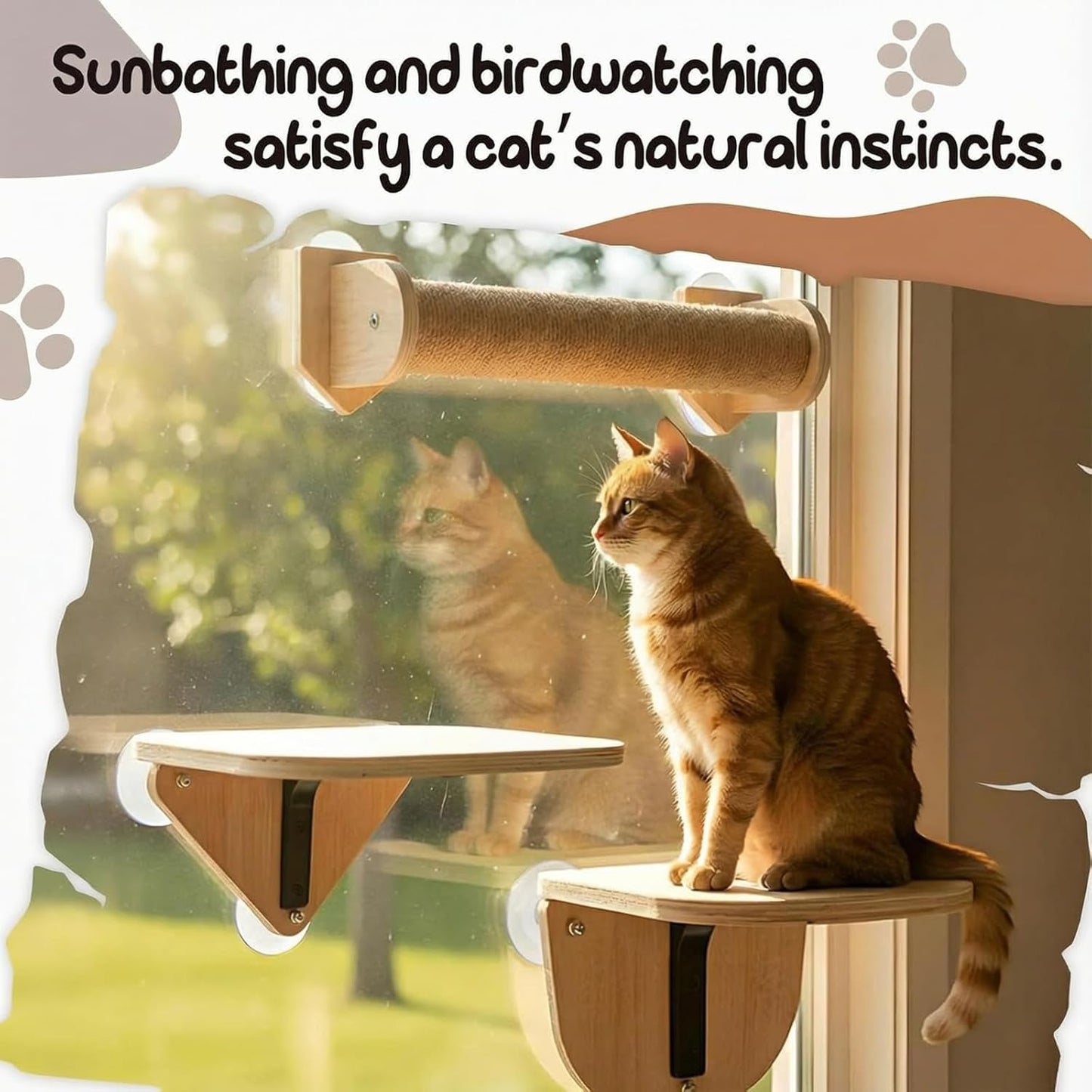 Novabright 3-in-1 20-inch Cat Window Perch Hammock with Climbing Step and Scratching Post, Raw Wooden Window Mounted Cat Bed, Supports 22lbs (Drilling-Free)