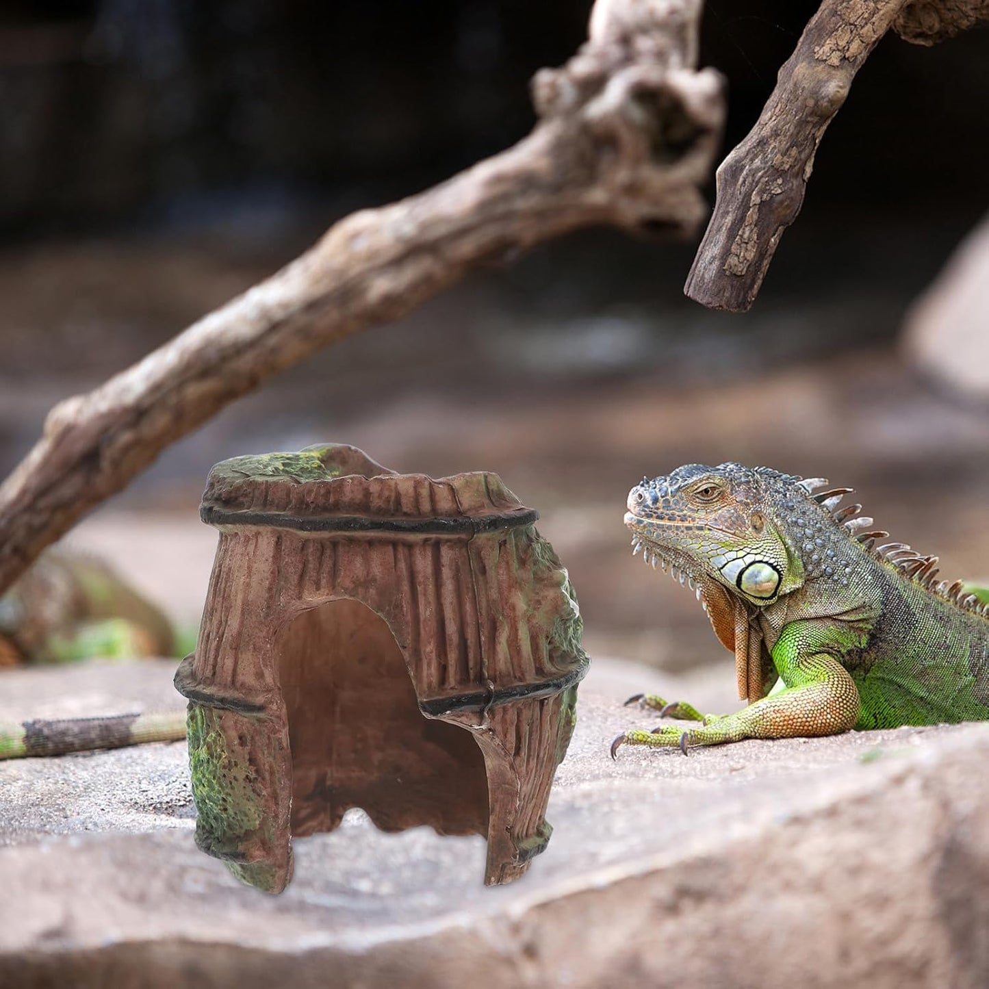 GLEAVI Reptile Hide Cave Habitat Decor Plastic Leopard Gecko Tank Reptile Rock Hideout Small Spider Scorpion Shelter for Bearded Dragon and Turtle Basking Platform