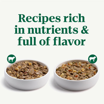 Nutro Natural Choice Cuts in Gravy Wet Dog Food Lamb Beef Variety Pack, 3.5 oz. Trays (12 Count, Pack of 2)