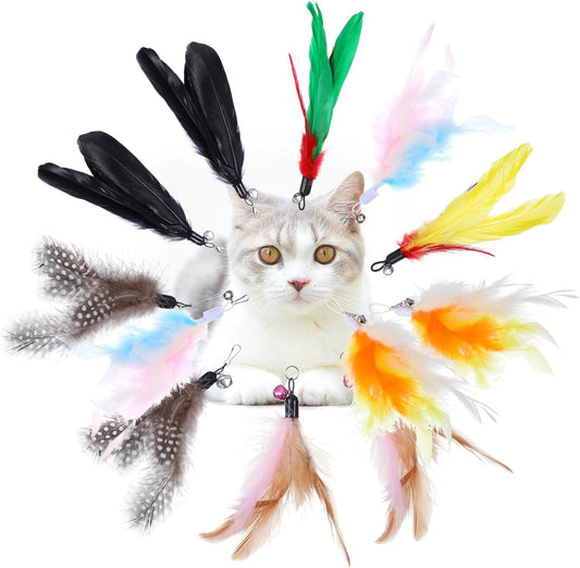 12 Pack Cat Feather Toys Refills with Bells Cats Wand Replacement Feathers Toy Natural Feather Replacement for Exercise Play Vibrant Wand Attachments Safe Cats Toy Accessories for Bored Indoor Cat