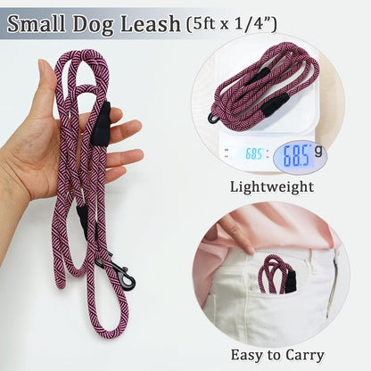 WYuZe 5ft Puppy Leash for Small Dogs (Black Clasp + Silver Clasp)