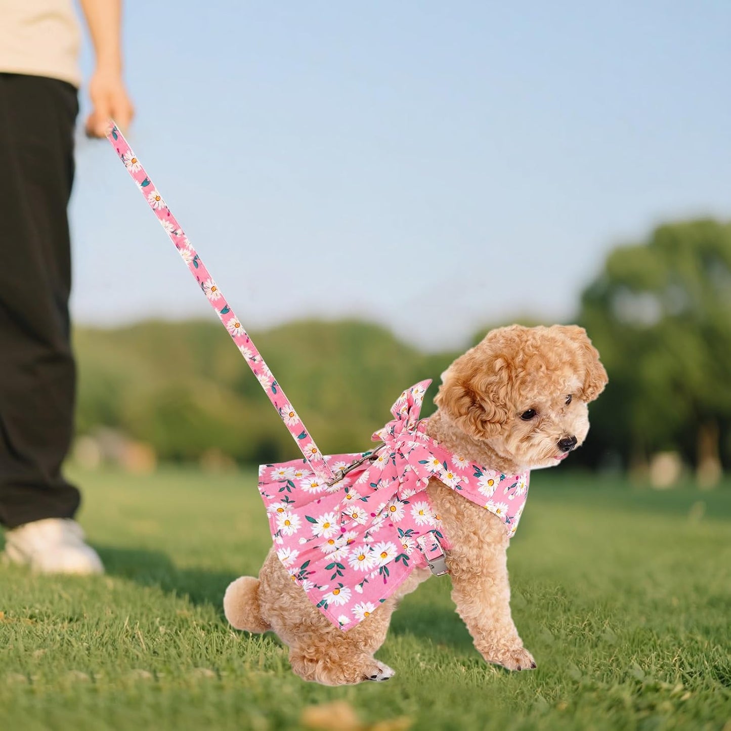 Dog Dress Bowknot Harness and Leash Set Adjustable Puppy Harness Mesh Vest Set Bow Knot Pet Clothes for Small Girl Dog Cat (X-Small, Pink)