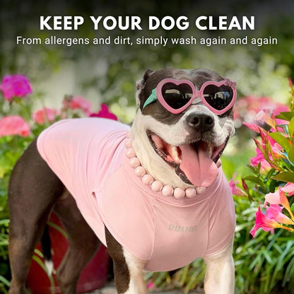 Spark Paws Sunblock Dog T-Shirt, SPF30 Protection, Lightweight Breathable Quick Dry for Dogs with Sensitive Skin - Purple & Pink (Set of 2) - 2XL