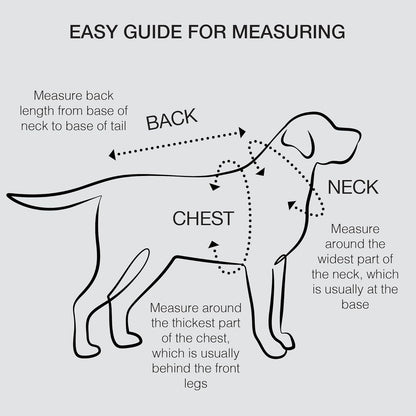 Toby 3-Pack 100% Organic Cotton Dog Short Sleeve T-Shirt Pet Tees for All Breeds, Gray Ombre, Medium (20-45 lbs)