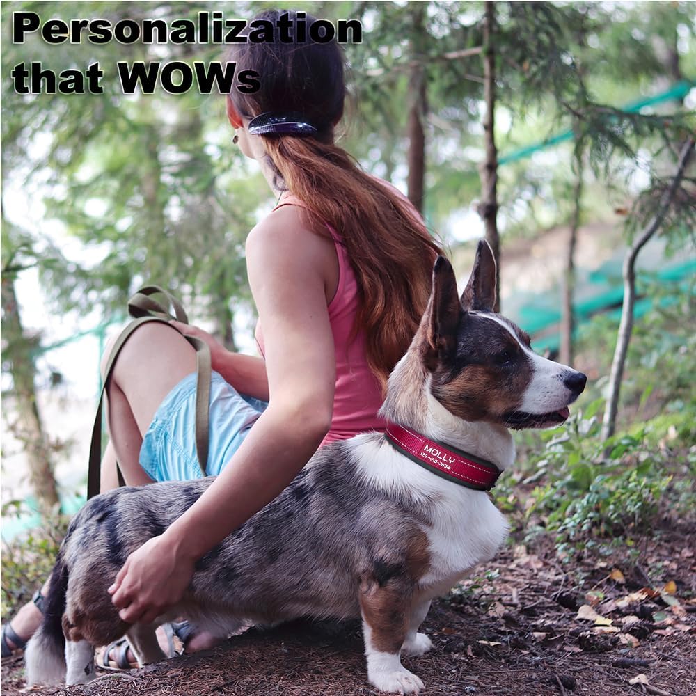 Personalized Dog Collar with Name and Phone Number | Durable Metal Buckle | Ultra Wide Soft Neoprene Padded | Adjustable Reflective Weatherproof Dog Collar for Large Medium and Small Dogs