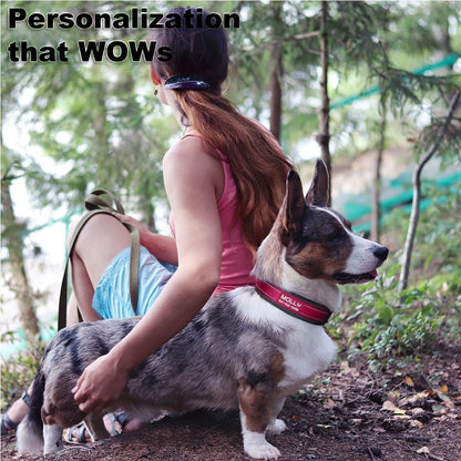 Personalized Dog Collar with Name and Phone Number | Durable Metal Buckle | Ultra Wide Soft Neoprene Padded | Adjustable Reflective Weatherproof Dog Collar for Large Medium and Small Dogs