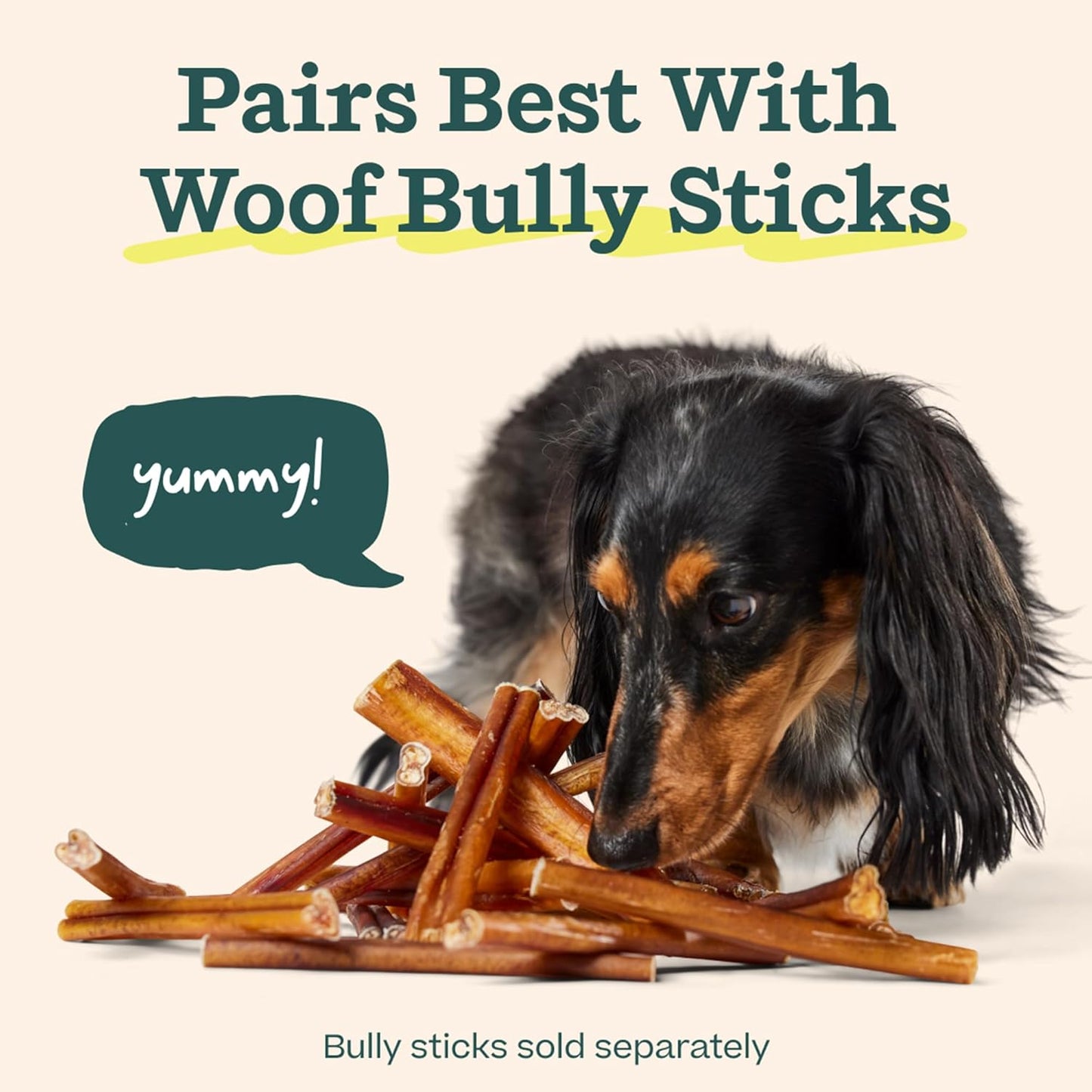 WOOF BullySafe - Bully Stick Holder - Durable Dog Chew Holder for Safe, Long-Lasting Play - Easy to Clean - No More Swallowed Ends - Best for Dogs 10+ lbs