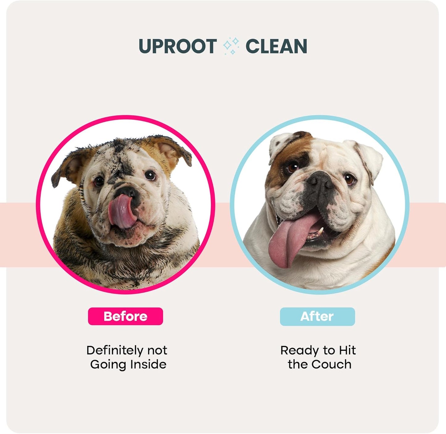 Uproot QuickClean Gloves Pro: Extra-Thick Pet Glove Wipes for Dogs & Cats - Easy Wipe Paws, Eyes, Ears, Butt, & Body - Lick-Safe for Cats & Dogs - Cleaning, Deodorizing & Grooming (20 Pack)