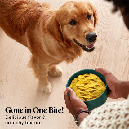 Healthy Dogma Banana Chips Treat for Dogs - All-Natural, & Clean Ingredient Snacks - Supports Digestion, Energy & Immune Health - Perfect for Training & Sensitive Stomachs, (6oz-Pack of 4)