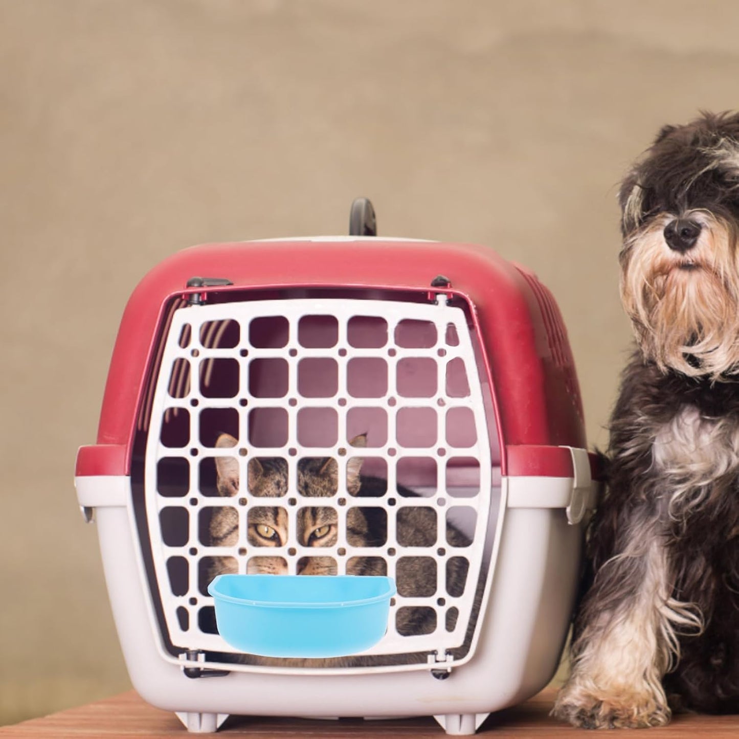 Hanging Plastic Pet Bowl for Cats and Dogs, Round Food and Water Dish, Blue Sturdy Plastic, Suitable for Crates and Travel, Multipurpose Feeding Bowl for Small to Medium Pets