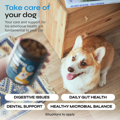 Probiotics for Dogs - Dog Probiotic Chews for Digestive and Gut Health, Dental, Immune System Support - Chewable Prebiotic Soft Treats - Wild Yam, Yeast Powder - Diarrhea and Bowel Support Supplement