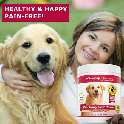 Cranberry + Probiotics for Dogs Soft Chew Bundle - UTI Prevention, Immune Support, Digestive Health, Incontinence, Gas and Diarrhea Elimination