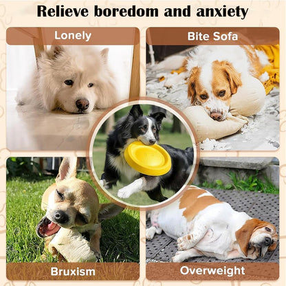 Dog Flying Disc Toy,9 Inch Indestructible Flying Disc for Throwing and Training Dog Frisbee Outdoor Play,Durable Water Pool Float Dog Toys Safe on Teeth,EVA Material for for Medium Large Dogs