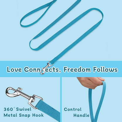 Small Dog Harness and Leash Set, Reflective Soft Breathable Mesh Vest, 3 Buckles, Adjustable Neck and Chest,Step in Dog Harness for Walking, Running, Training, Turquoise, XS