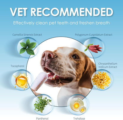 Mooncat Waterless Shampoo & Brush Kit for Longhair Cats + Dental Finger Wipes Bundle - Licking Safe Foam Detangler, Breath Freshening Wipes (40 Count)