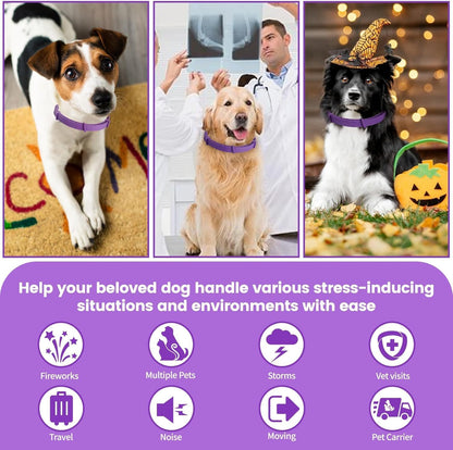 Calming Collar for Dogs,Rainbow Dog Calming Collars,Dog Pheromone Collar for Fast-Acting, Lasts 60 Days, Choke-Free Design,1 Pack Gift