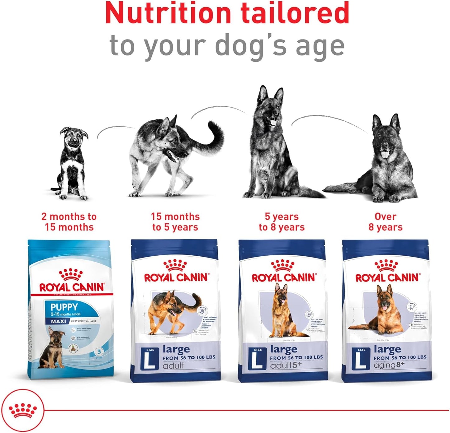 Royal Canin Size Health Nutrition Large Adult Dry Dog Food, 4 lb Bag