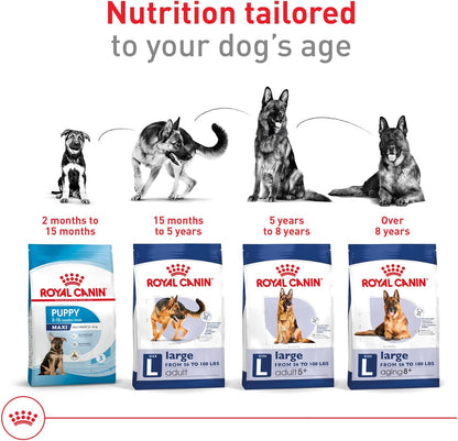 Royal Canin Size Health Nutrition Large Adult Dry Dog Food, 4 lb Bag
