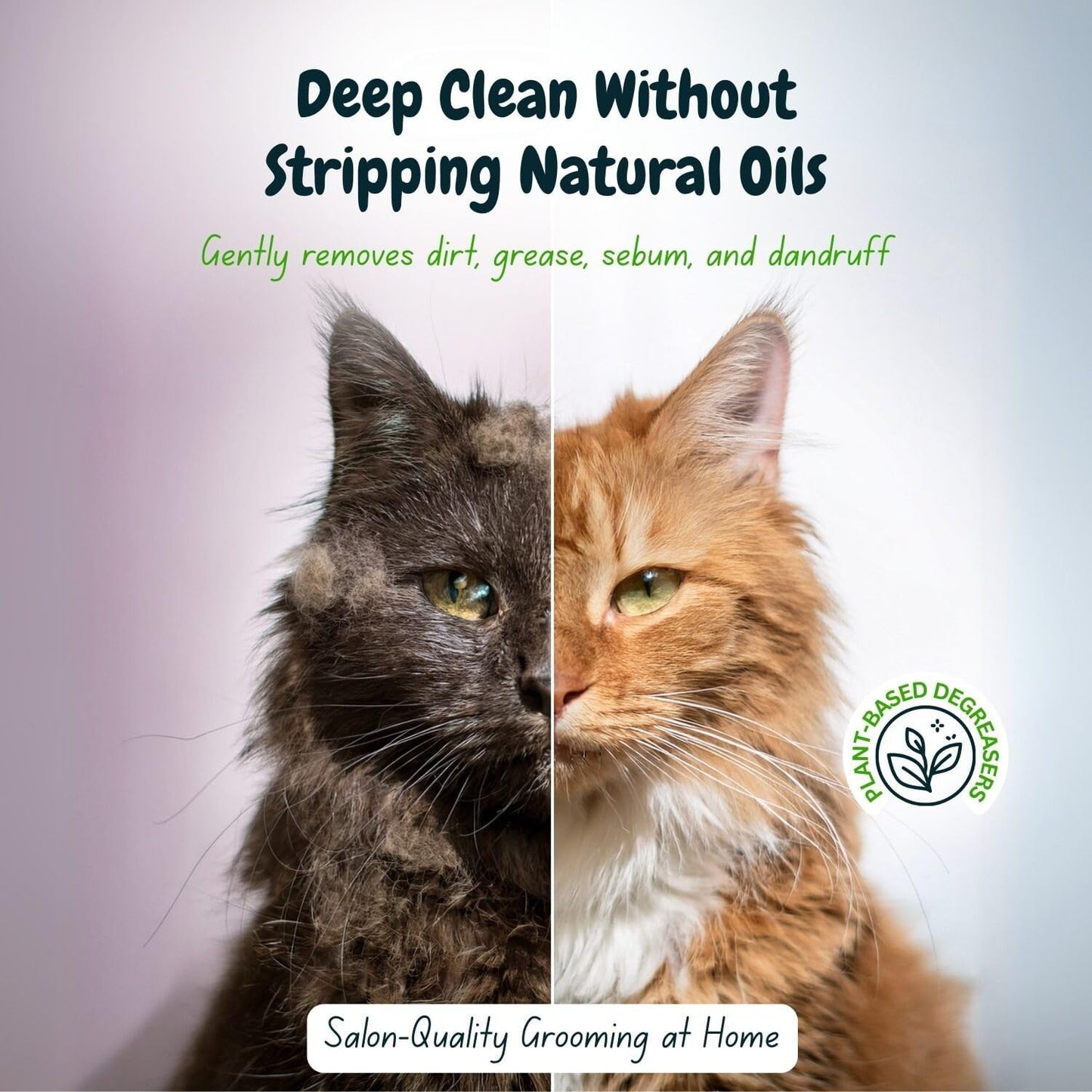 Petway Petcare Cat Shampoo, Natural Dandruff Shampoo, pH Balanced Cat Grooming Supplies with Plant Derived Surfactant, Free of Fragrance, DEA, Phosphates, Parabens & Enzymes, Removes Oil and Dirt, 5 L