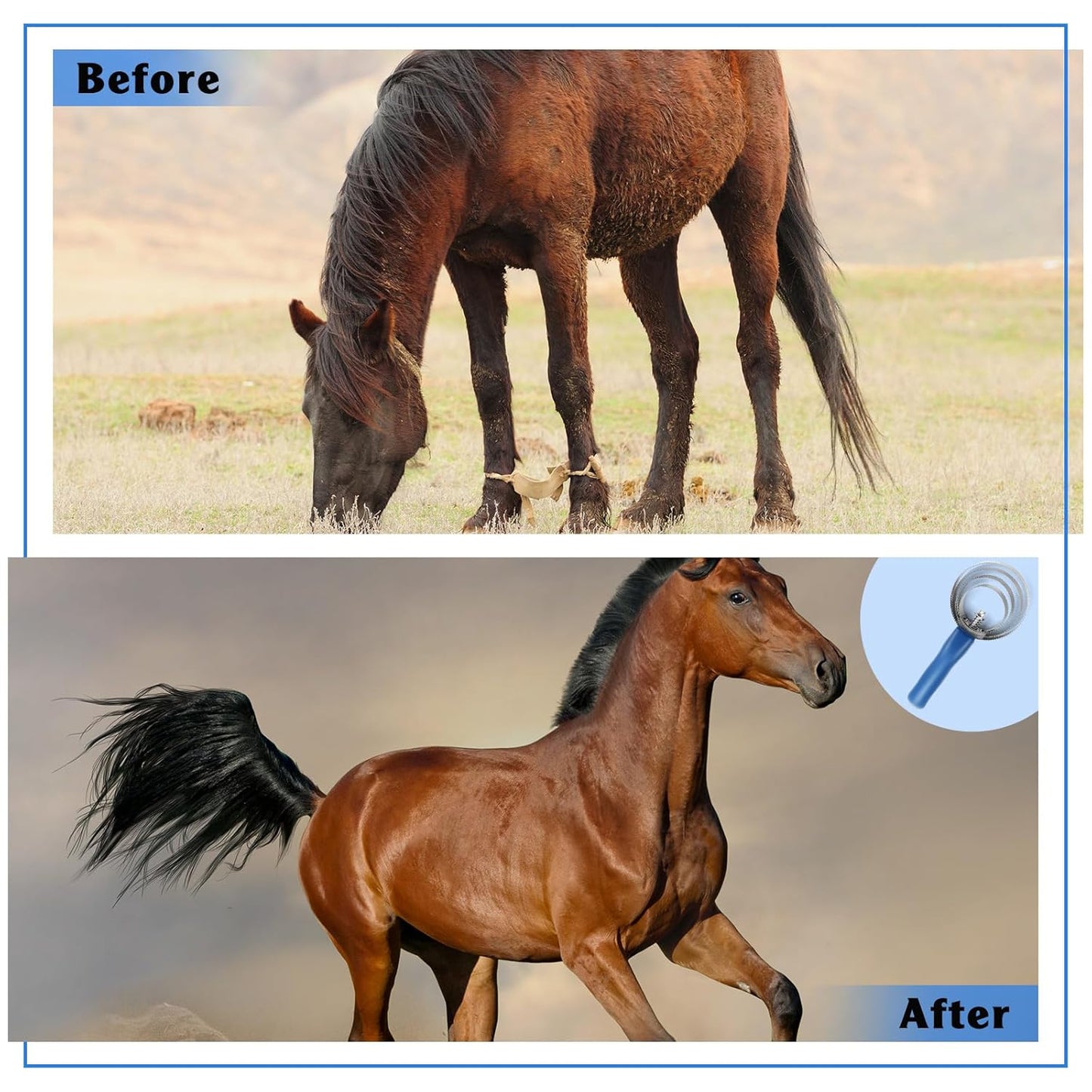 Tanlade 8 Pack 4 Rings Curry Comb Horse Brush Metal Curry Brush Derby Party Supplies Reversible Stainless Steel Curry Comb Scraper with Comfortable Grip for Cow Sheep Pet Dog Goat Horse, Blue