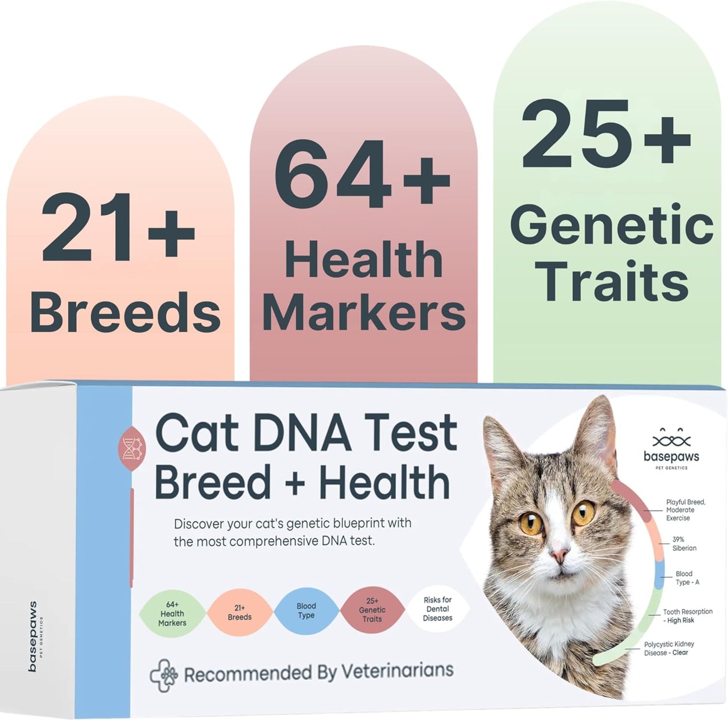 Basepaws Cat DNA Test Kit - Comprehensive Breed, Health and Dental Analysis Across 114 Traits for Accurate and Easy-to-Use Genetic Insights