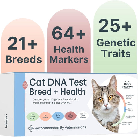 Basepaws Cat DNA Test Kit - Comprehensive Breed, Health and Dental Analysis Across 114 Traits for Accurate and Easy-to-Use Genetic Insights