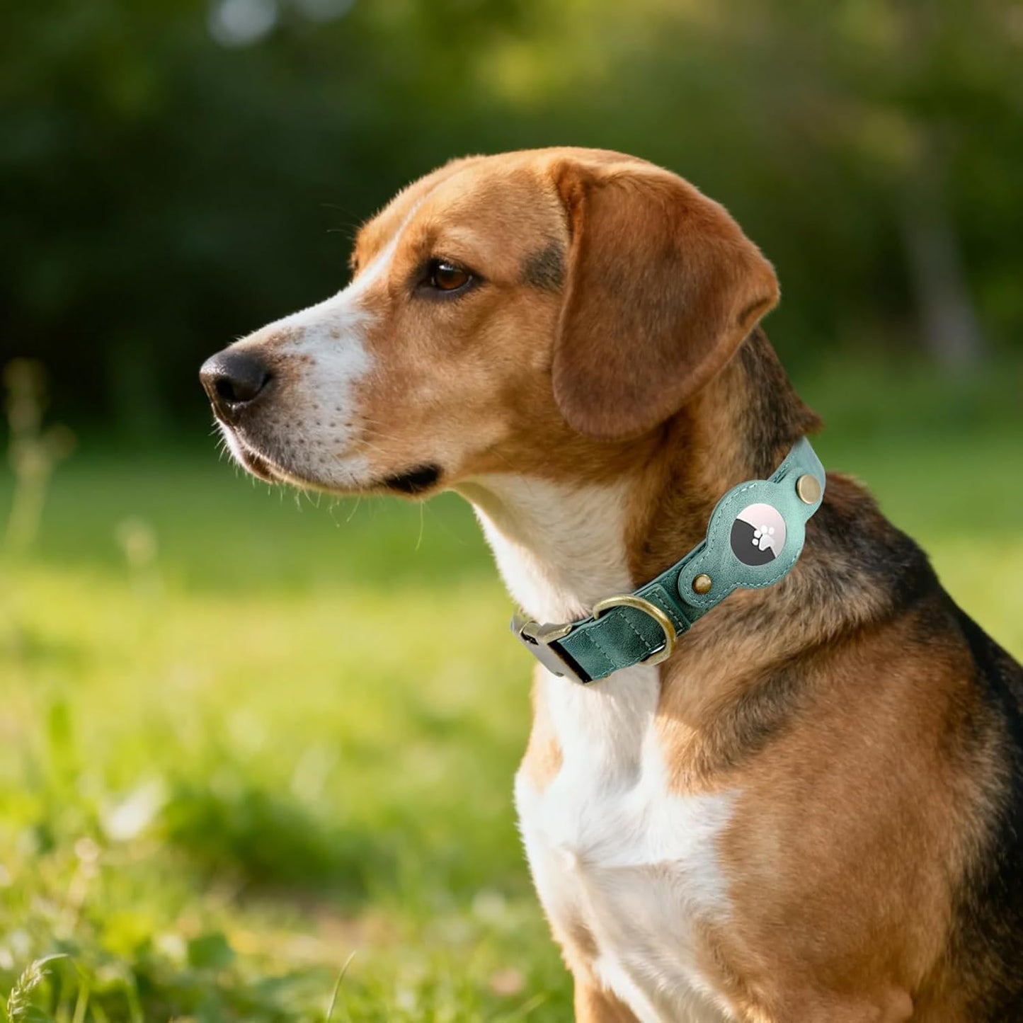 AirTag Dog Collar for Large Dogs - Soft Leather Dog Collar with Apple AirTag Holder and Metal Buckle - Smart Tracker GPS Apple Air Tag Pet Collars (Green, L)