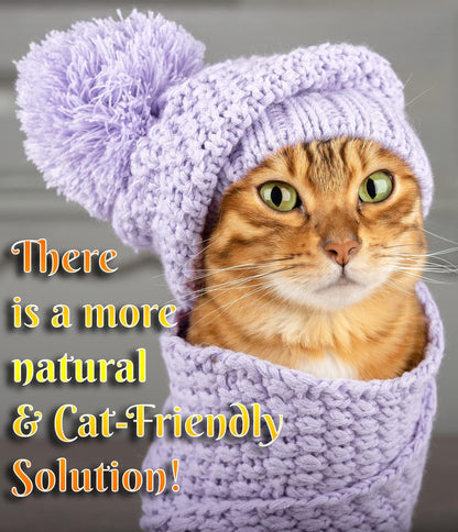 Fluffy Feline Professional Groomer's Choice for Cat Dandruff Treatment Spray