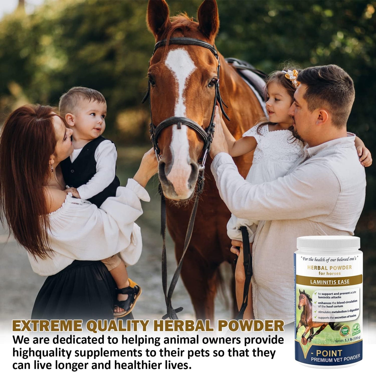 V-POINT - Laminitis Ease - hoof Supplements for Horses - Horse hoof Care Product Based on Natural Herbal Powder - Ideal for Hooves Health and Conditioning (1.0 lb)